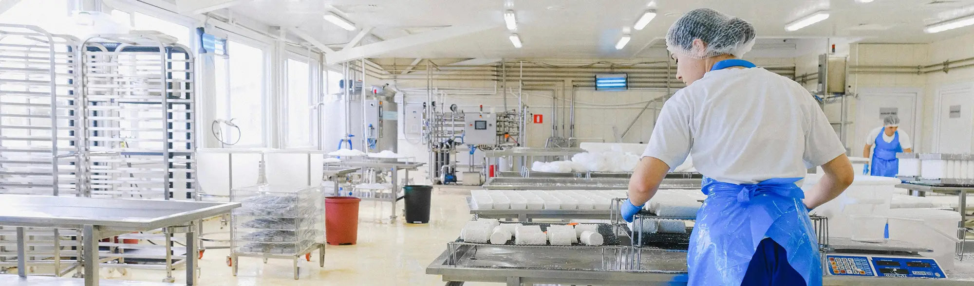 Worker in a food industry processing factory wearing workwear for safety and hygiene