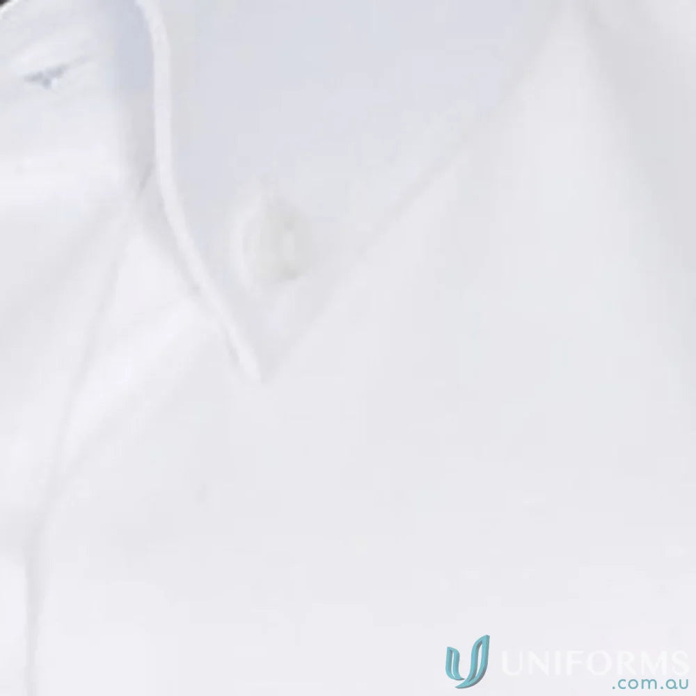 Womens fine Oxford silk protein shirt with easy iron slim fit and visible top button