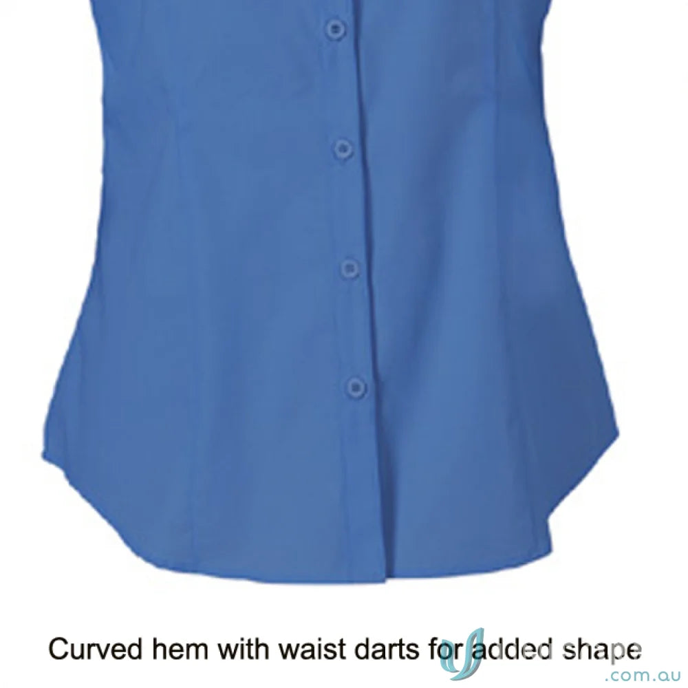 Ladies Blue Button-Down Shirt from Ladies 3Qtr Nano Shirt Workwear Collection