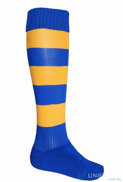 Blue and gold striped Bocini Sports Socks for various shoe sizes and uniforms