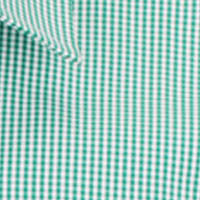 Westgarth Gingham LS Shirt - Shirt